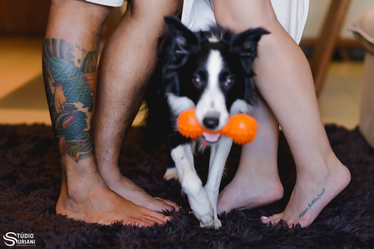 Cachorro passando entre as pernas dos noivos tatuados com brinquedo de morder em apartamento e tapete preto 