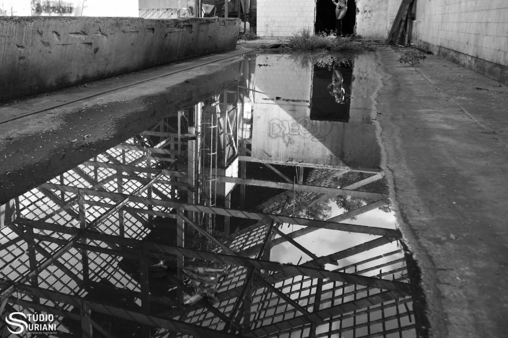 fotografia artística de 15 anos