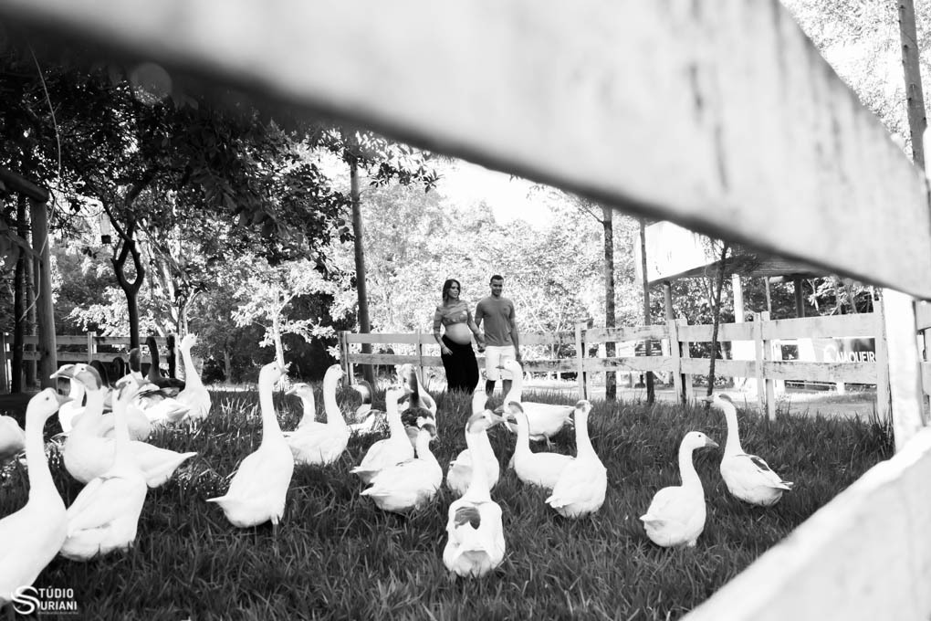 fotos de gestante com animais