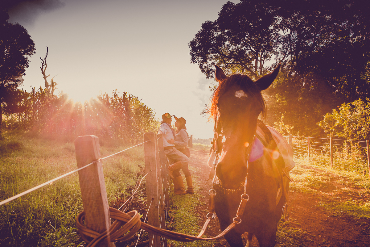 Rio grande do sul, ensaio gaucho, igor guedes fotografia. serra gaucha