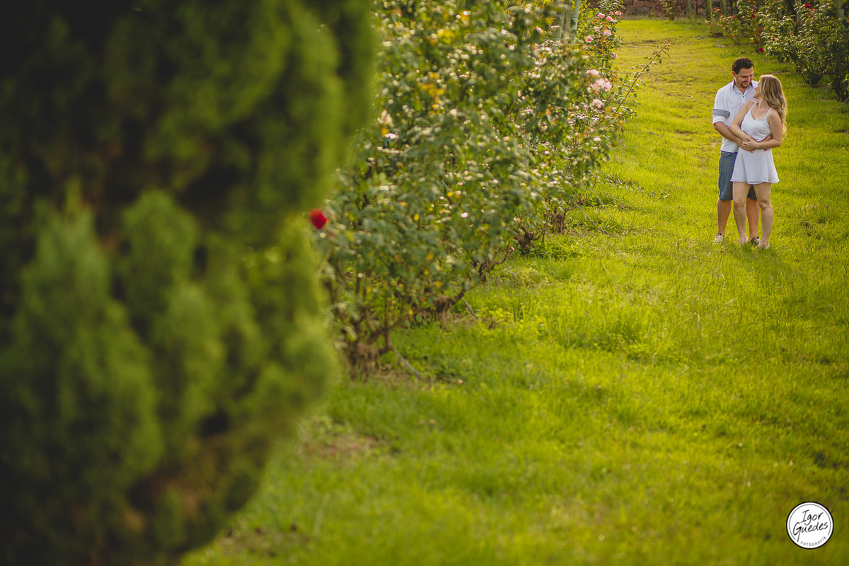 Ensaio de Casamento, Vale dos Vinhedos, Garibaldi, Bento Gonçalves, Igor Guedes Fotografia