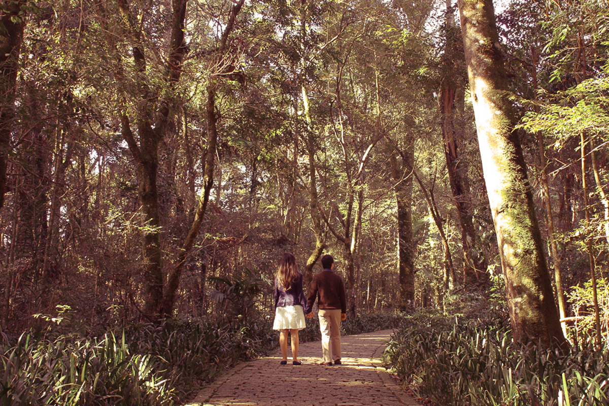 passeando-no-bosque