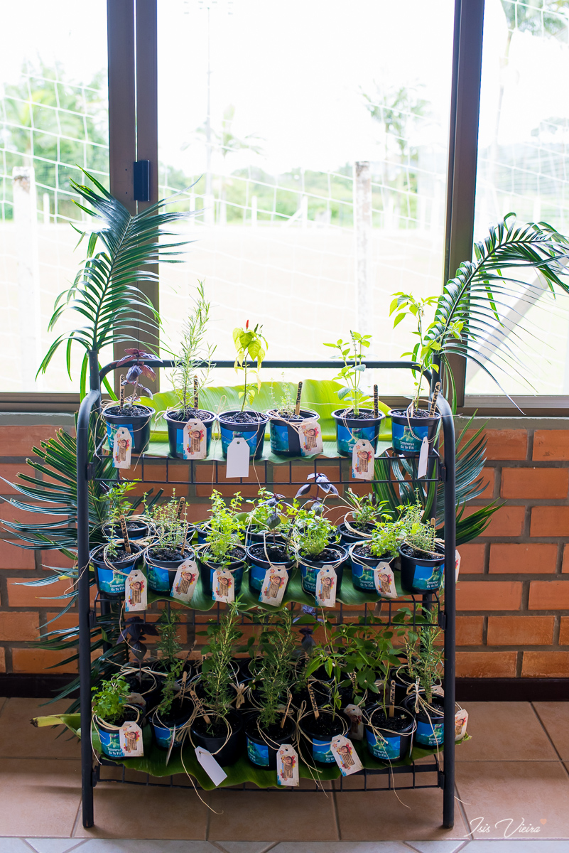 mudinhas de temperos decorados com o tema do filme infantil da disney moana para festa de aniversario infantil da linda moana feito com carinho por sua mãe