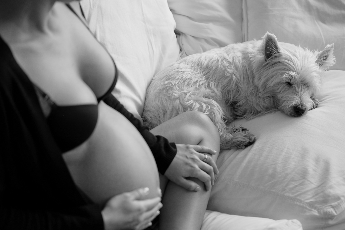 o carinhoso cachorro aipim descansa ao lado de sua dona a gestante flavia estacio em momento de amor no ensaio de gravida realizado em sua casa no bairro do corrego grande em florianopolis sc