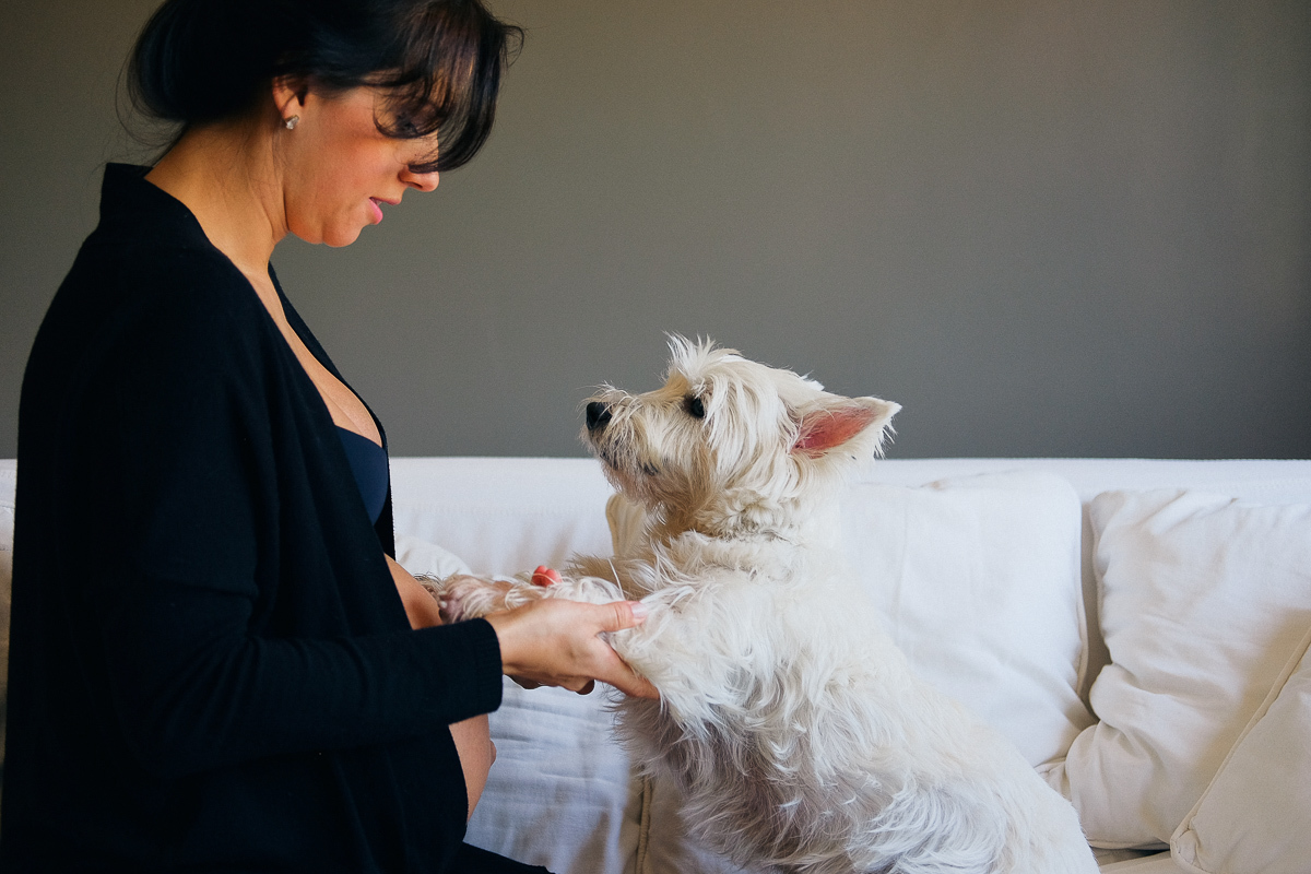 sentados no sofá flavia puxa as patinhas de seu cachorro aipim para que elas fiquem apoiadas na sua barriga de gestante em registro de seu ensaio de gravida realizado em florianopolis sc