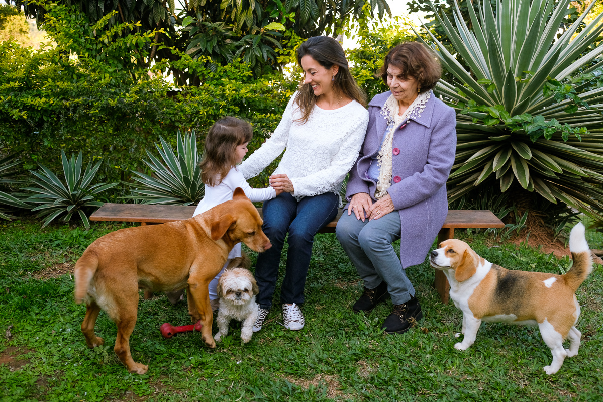 a criança sophie brinca com a mãe enquanto sua avó lhe olha e seus cachorros brincam do seu lado no jardim da sua casa em florianópolis na lagoa da conceição