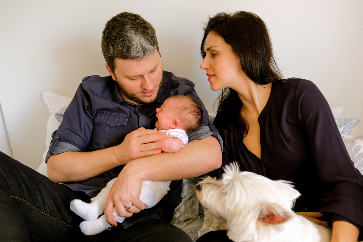 o pai carrega no colo o filho que chora enquanto a mãe e o cachorro da família olham carinhosamente para os dois