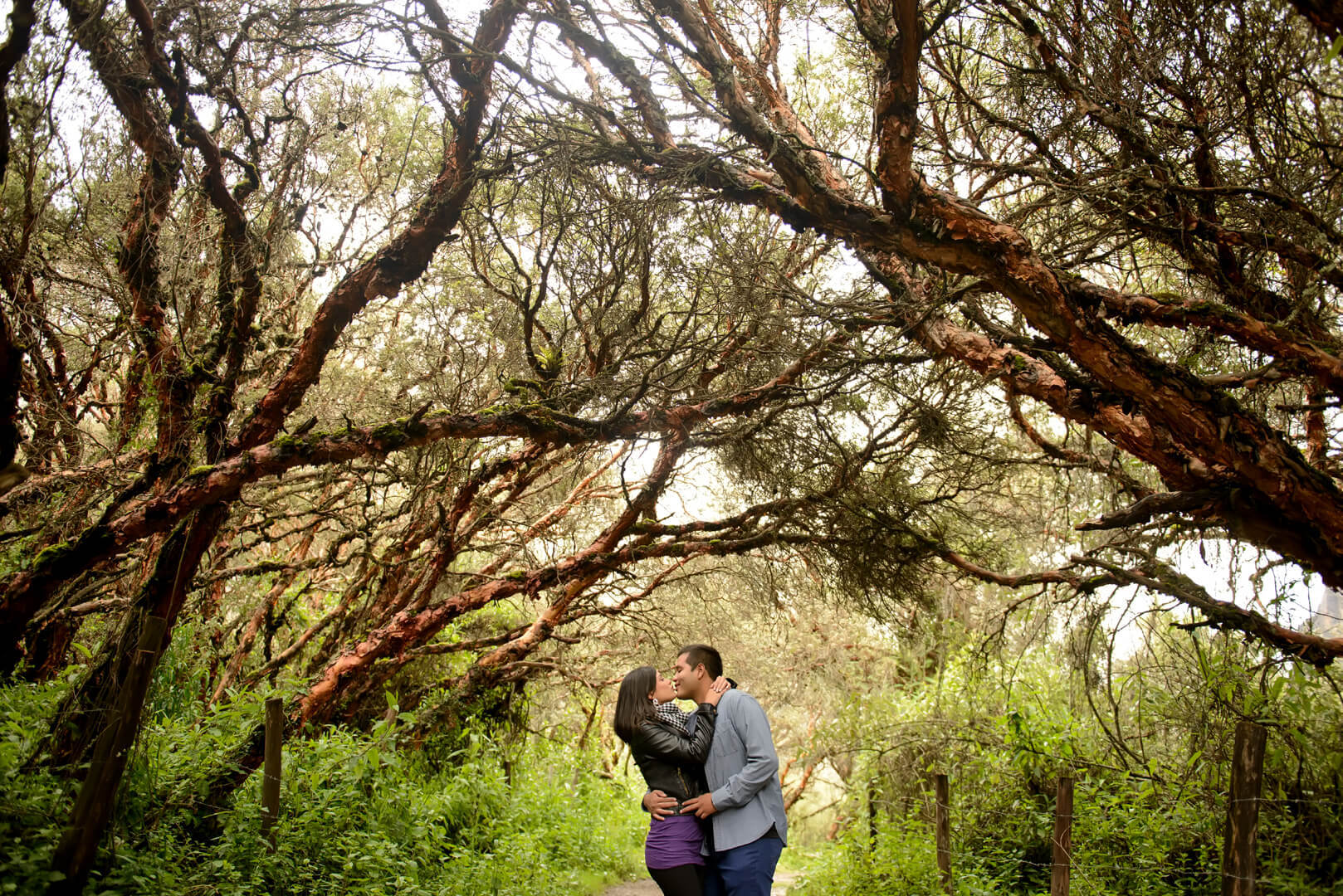 Acerca de Universal Producciones - Wedding Photographers Hammer Shuberth - Destination Wedding Photographers - Peru