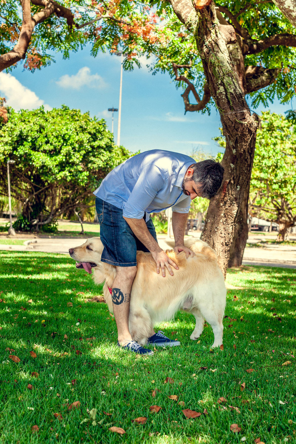 Cachorro brincando com joven papai no gramado de parque no rio de janeiro