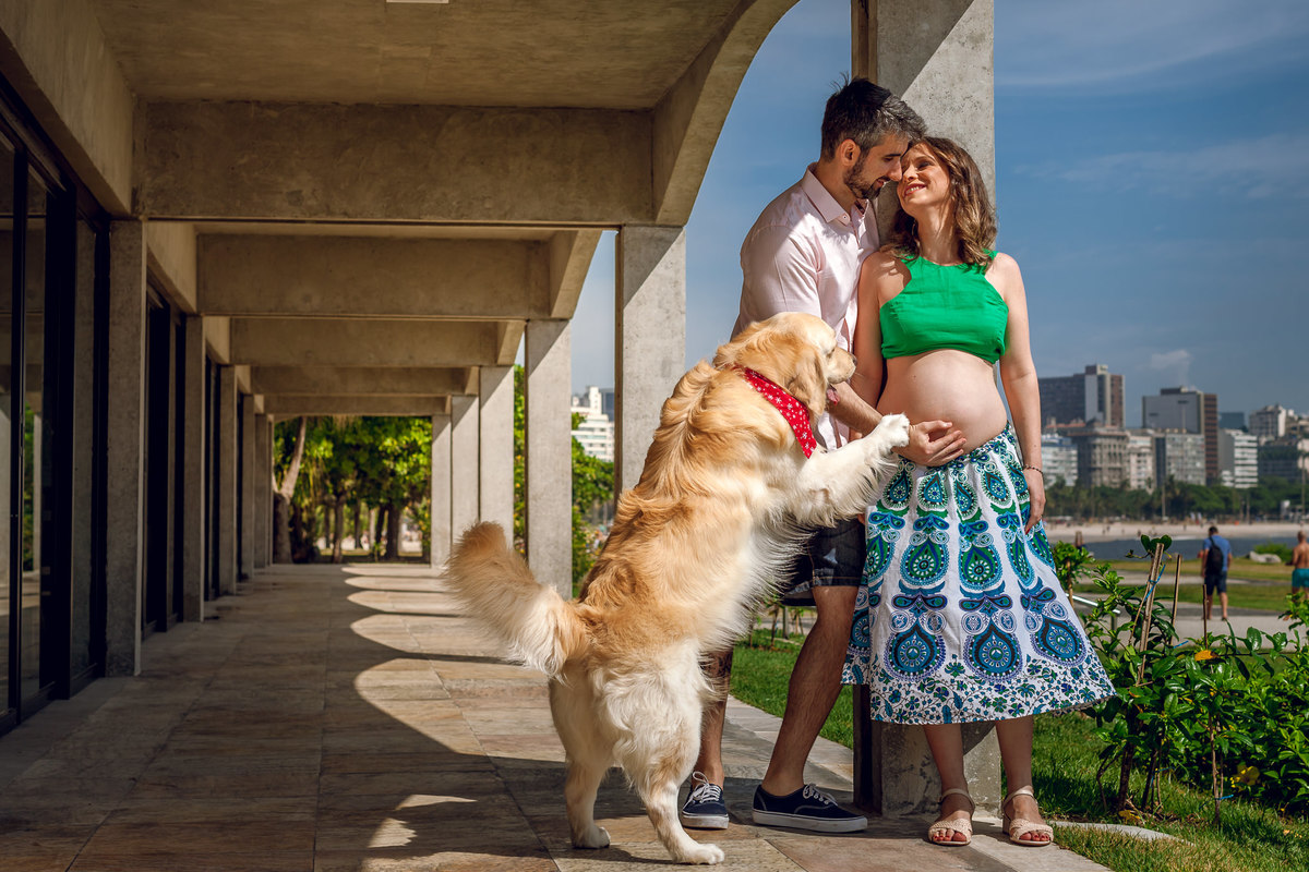 casal trocando carícias em book de gestante no restaurante Assador Rios no aterro do flamengo com labrador fazendo carinho na barriga da gestante