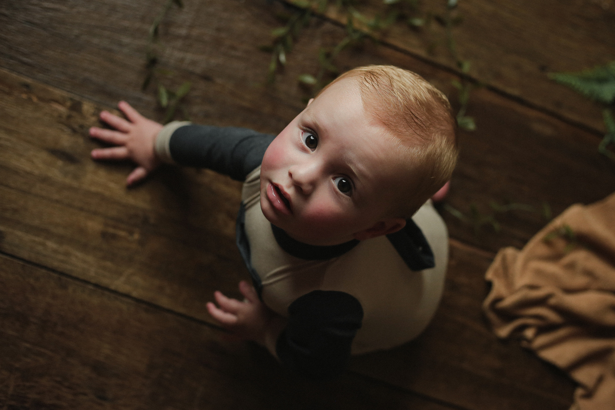 Acompanhamento Mensal - 11 meses 