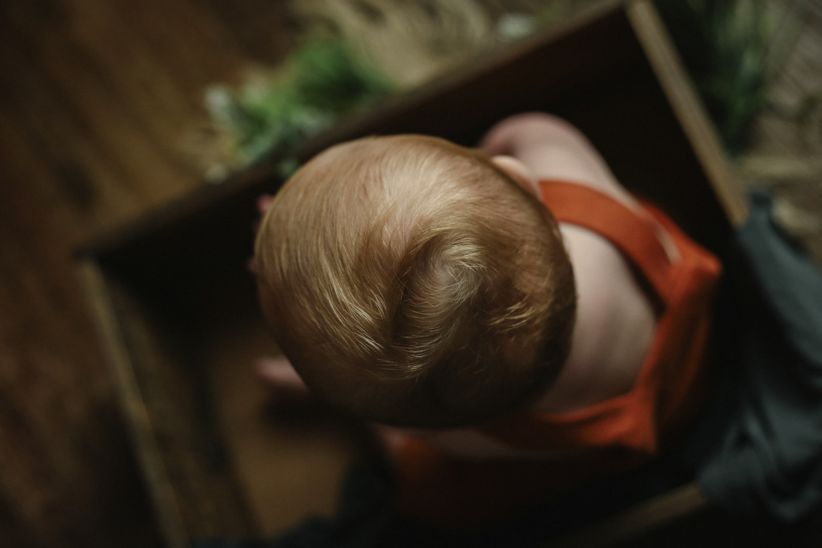 Acompanhamento Mensal - 7 meses