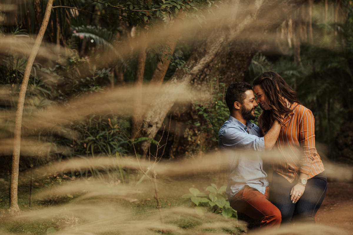 namorando nas espigas