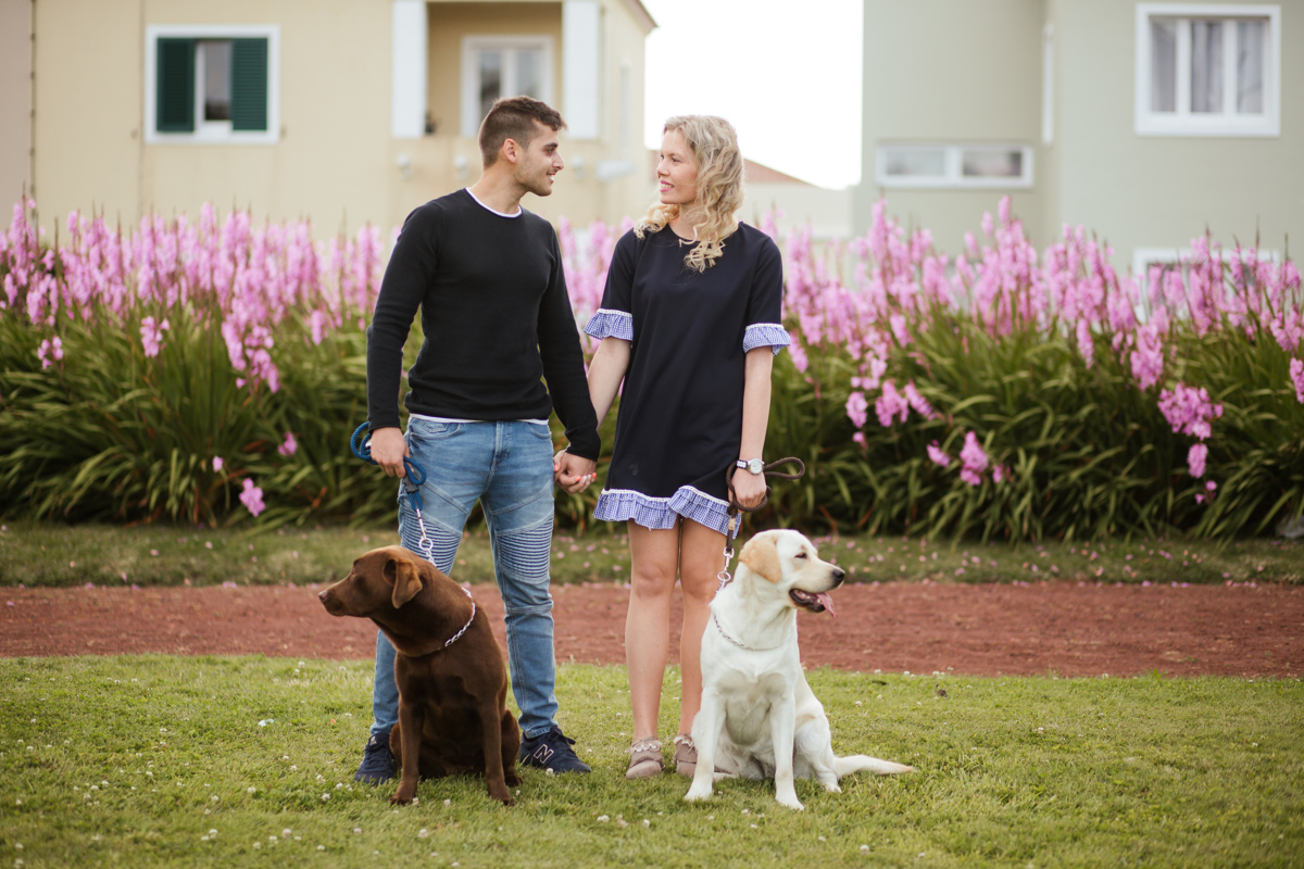 sessão de namoro com casal de labradores