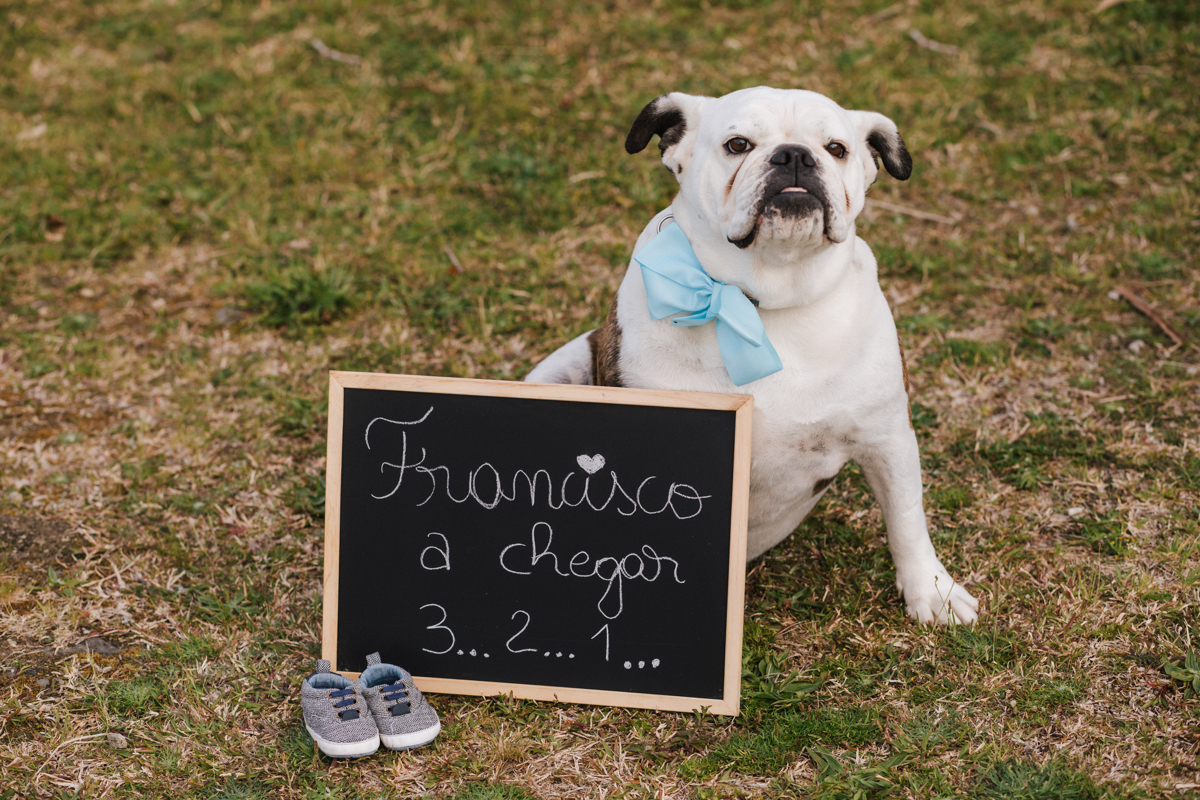 francisco a chegar com o cão 