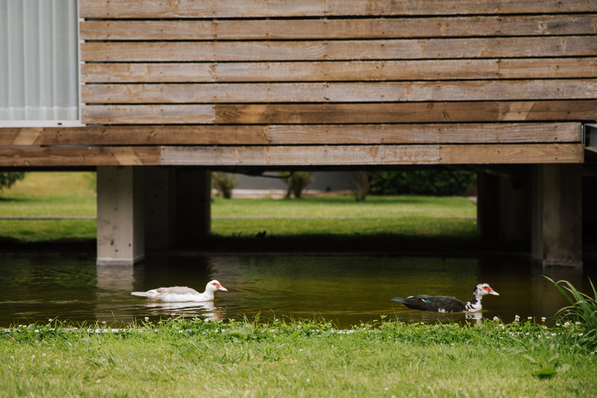 patos no furnas lake villas 