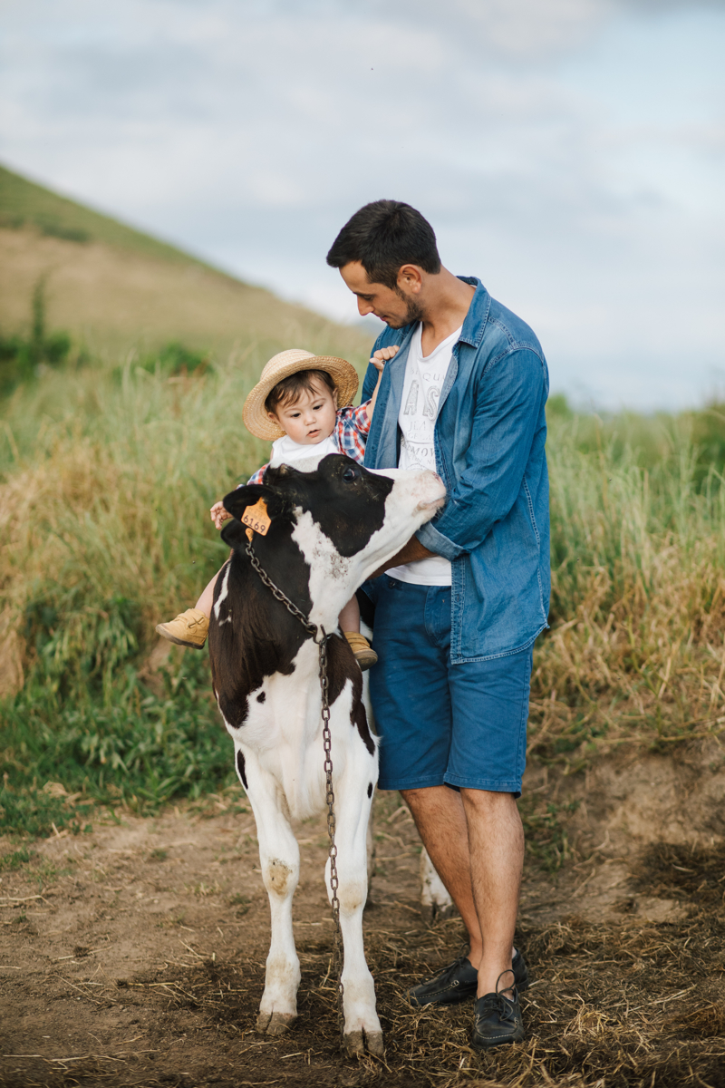 vacas dos açores em familia