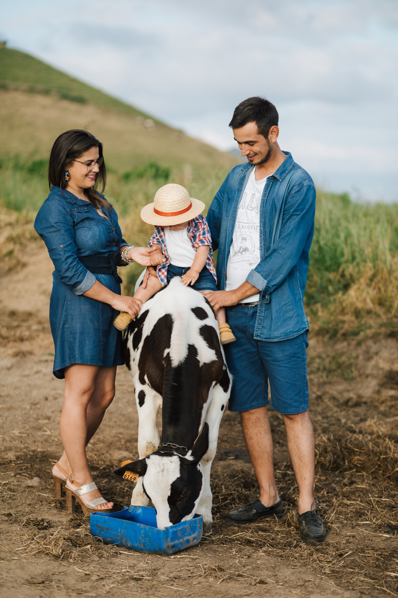 sessão nos pastos dos açores