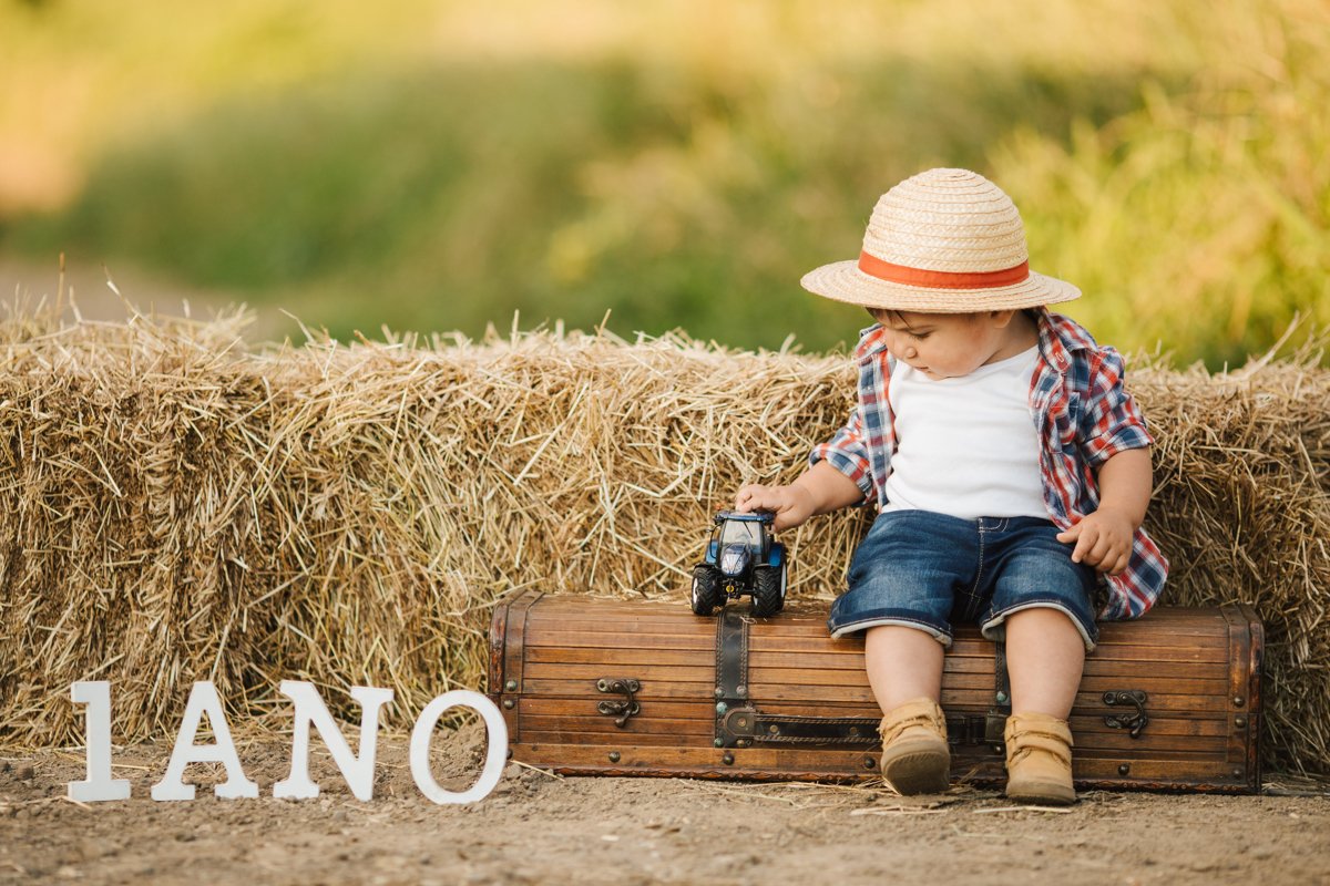um ano nos pastos em são miguel açores