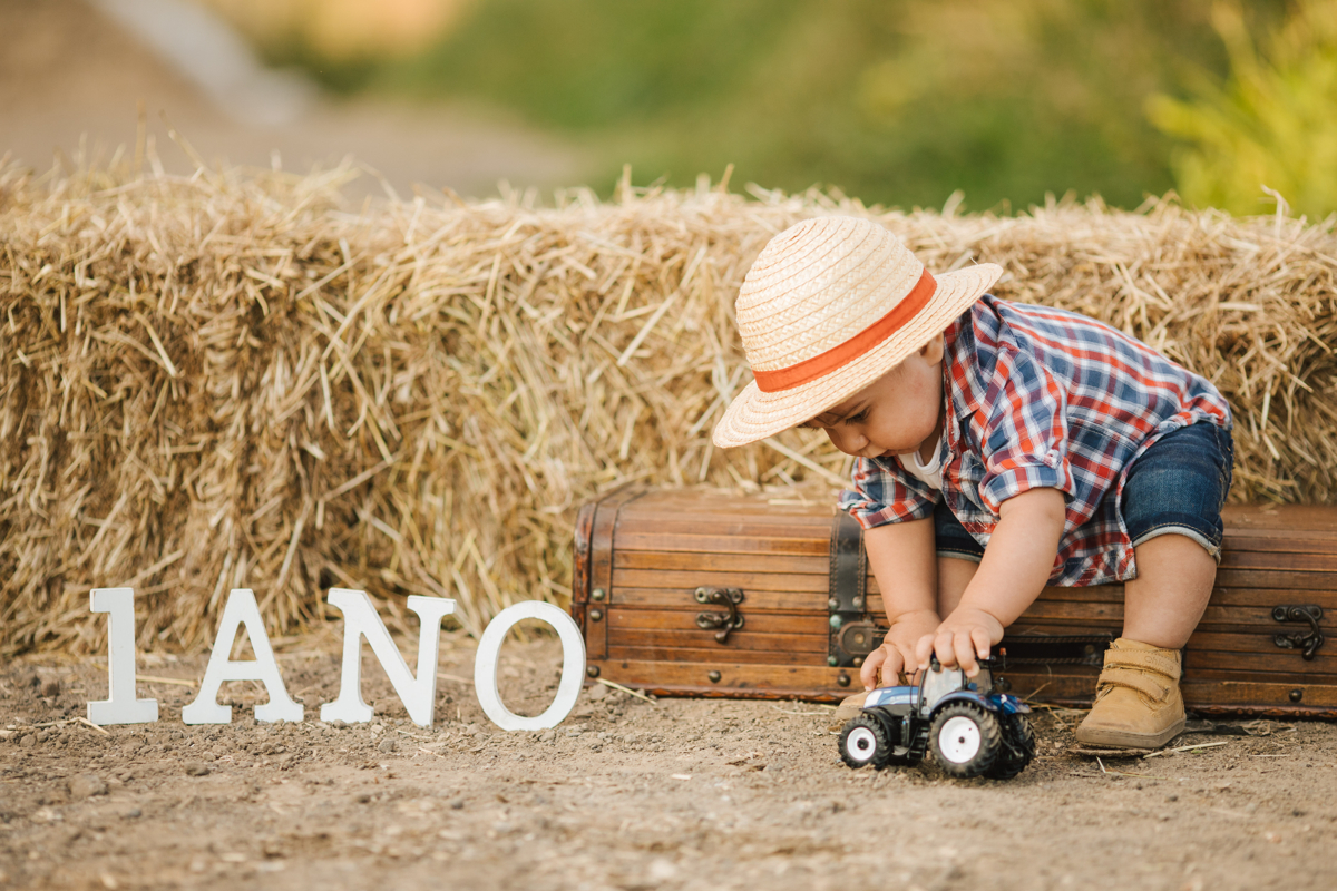 1 ano e o meu trator 