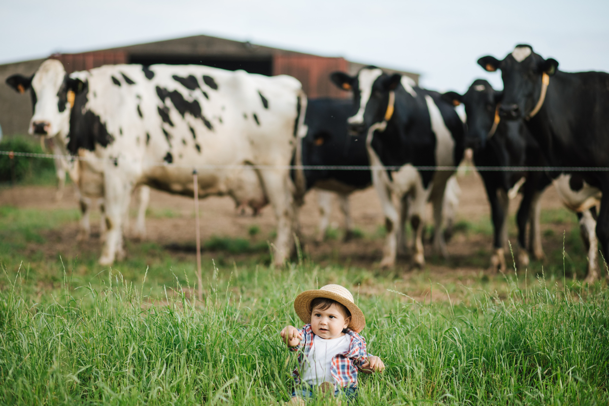 facas felizes e sessão feliz