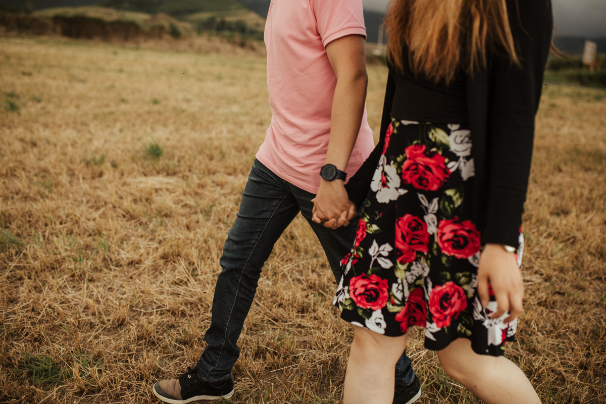 passeando nas pastagens dos açores 