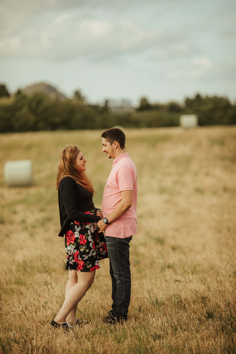 namoro nas pastagens dos açores