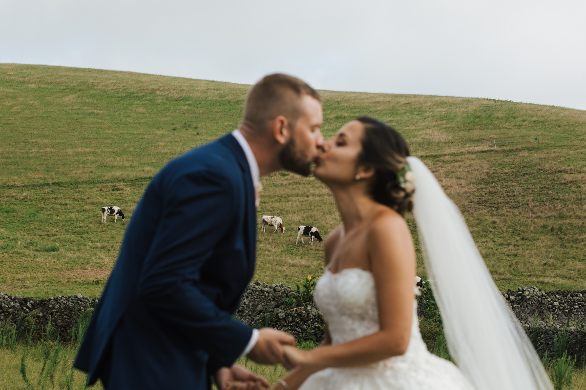 um amor nos pastos dos açores