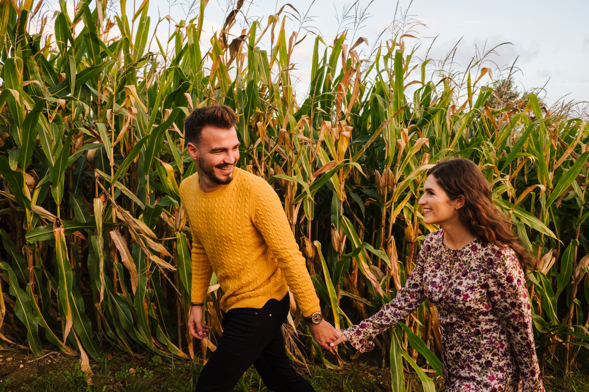 passeando no campo de milho