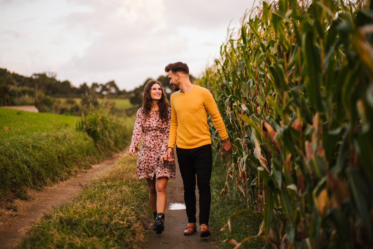 passeando pelos campos
