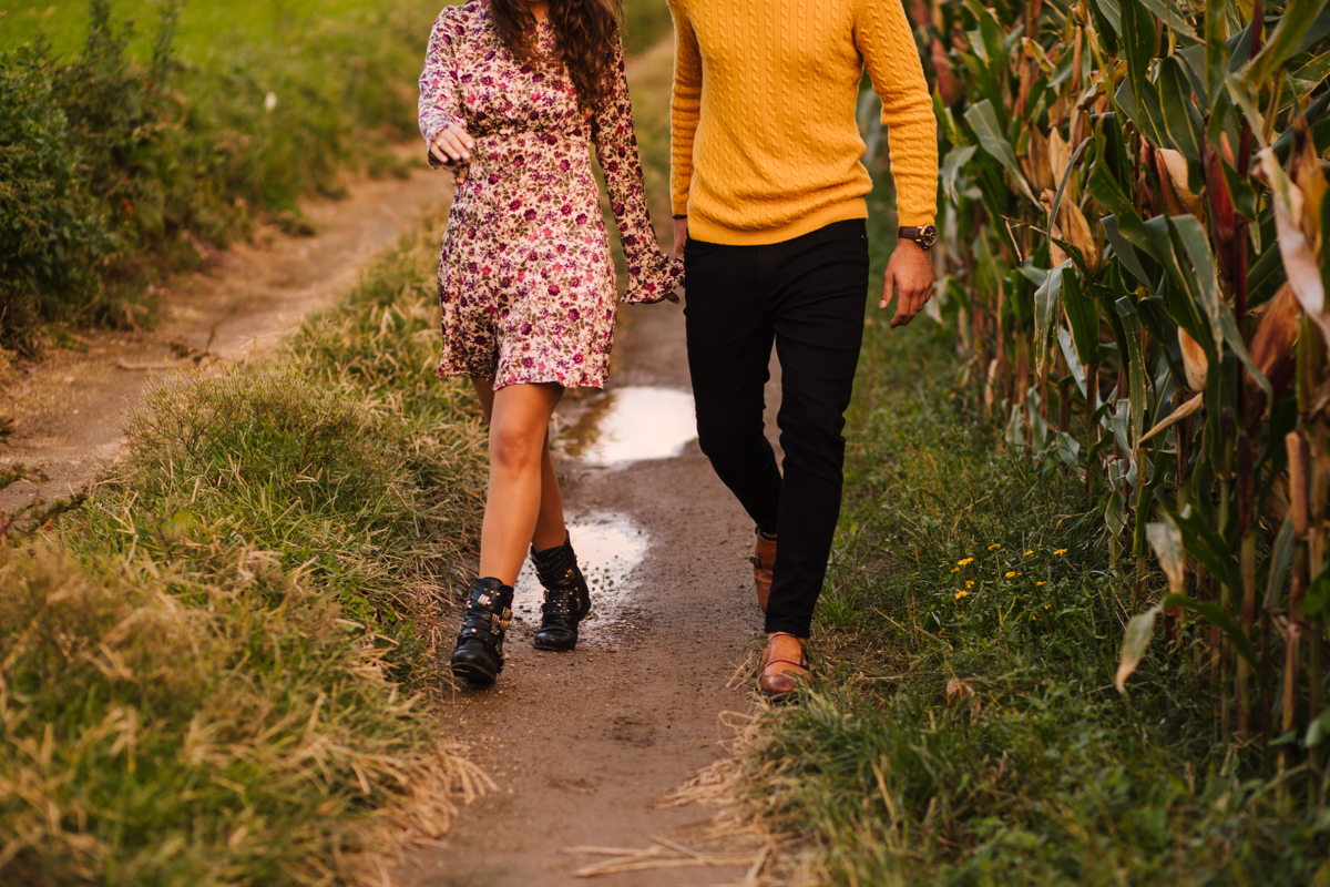 passeando por terras 