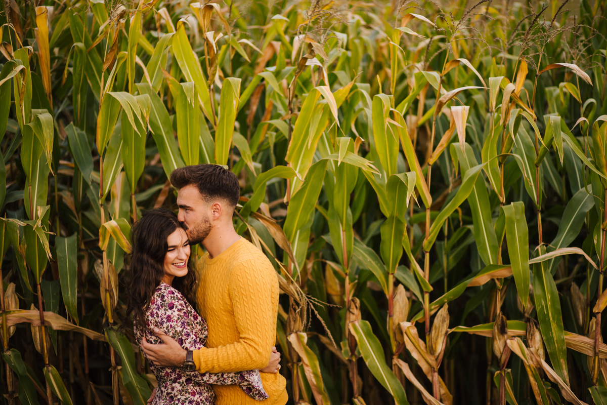 namoro nos campos de milhos em ponta graça açores