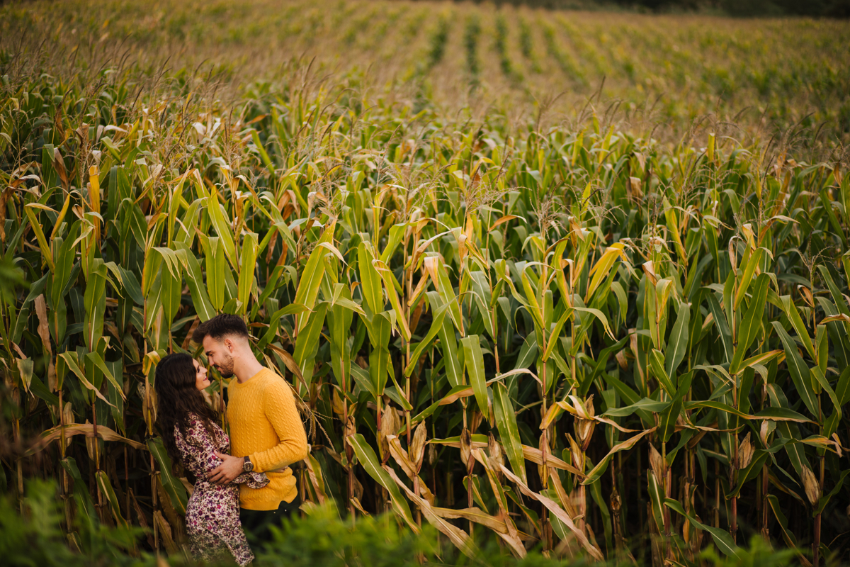 namorando nos campos de milho