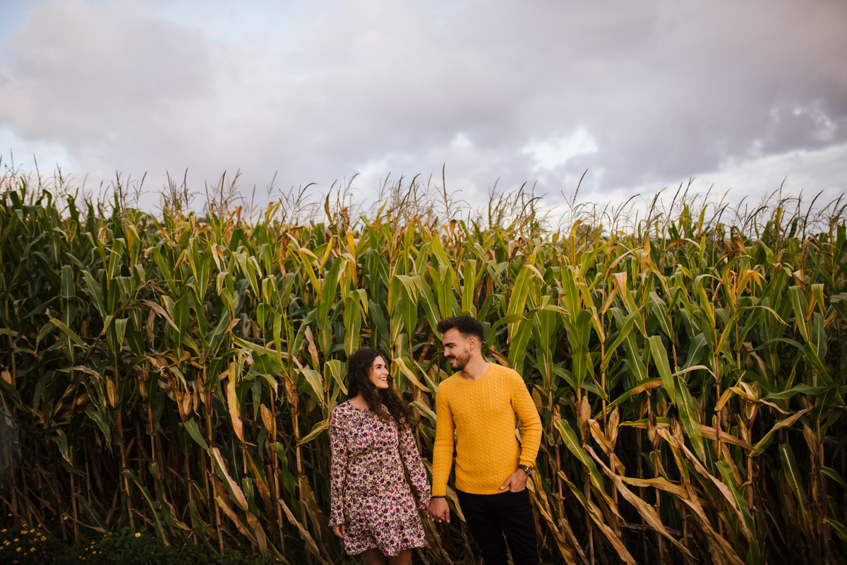 pelos campos de milho
