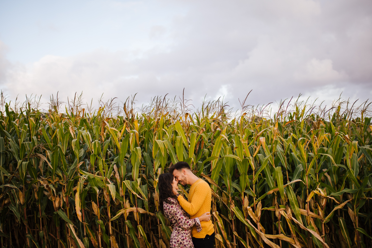namorando nos pastos de milhos nos açores