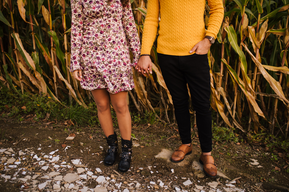 casal namorando nos campos de milho de mãos dadas