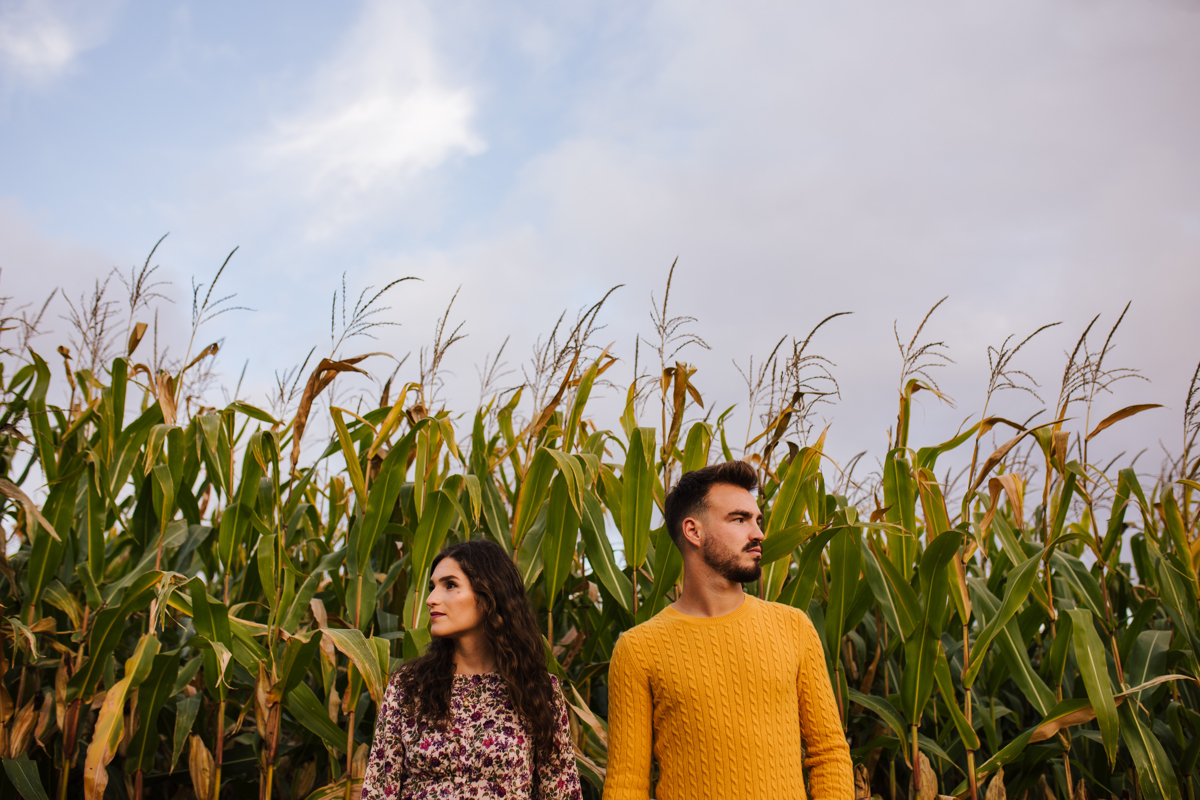 casal nos campos do milho
