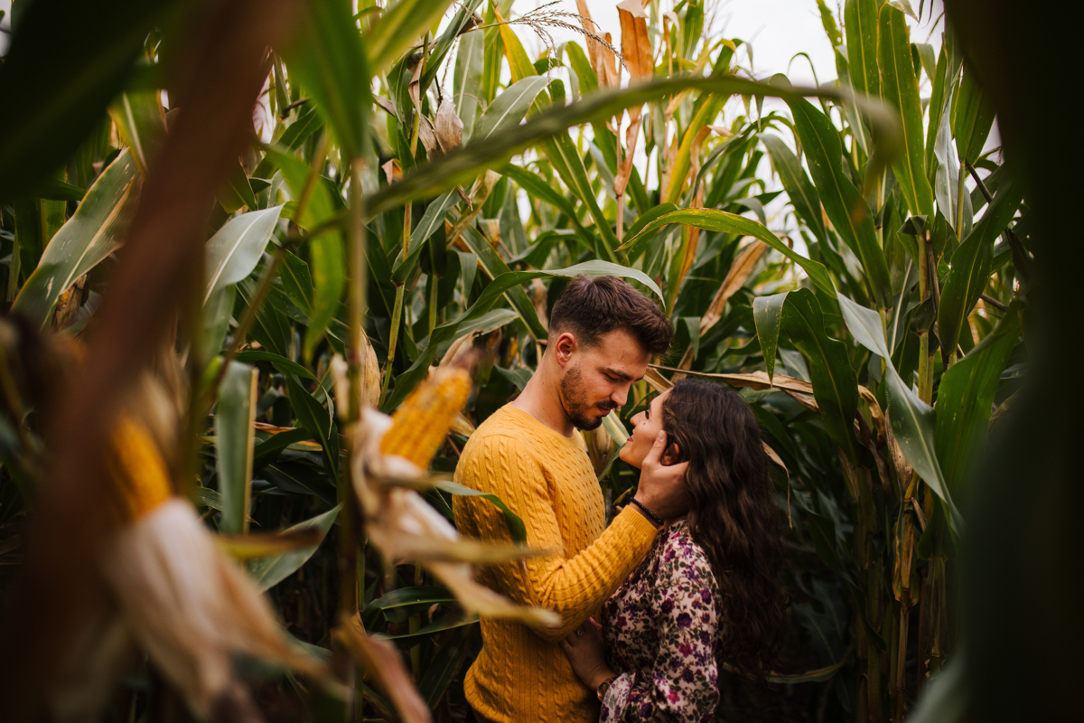namorando entre o milho nos açores