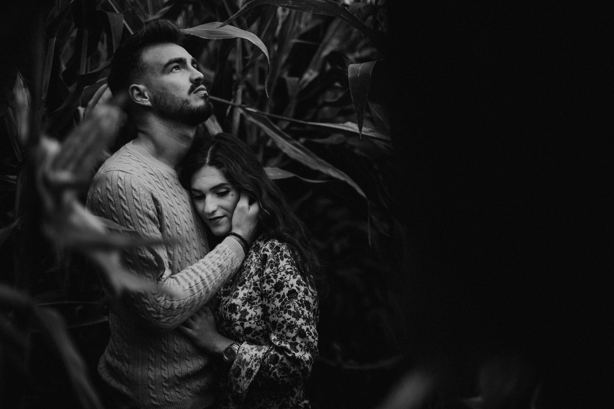 sentindo o o amor nos campos de milho