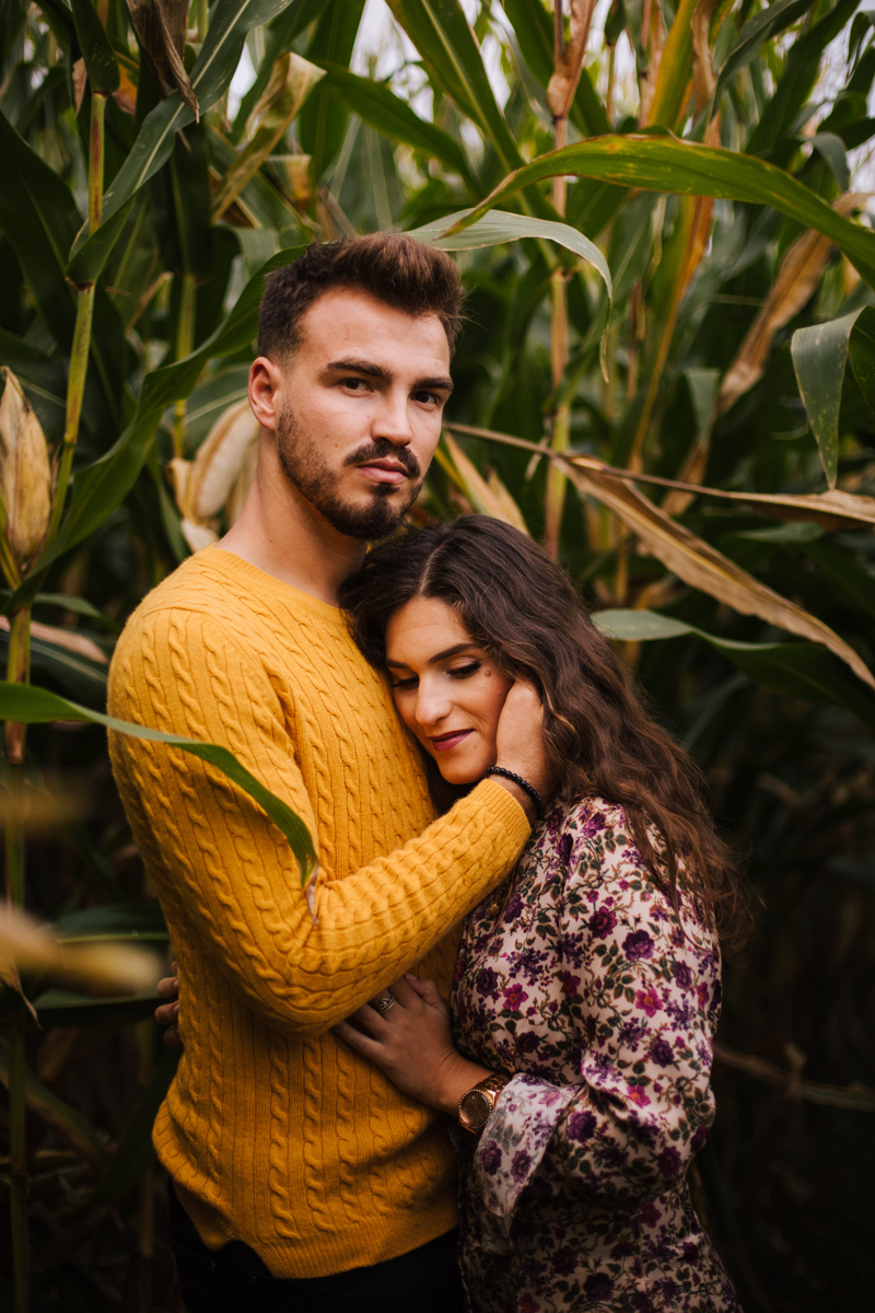 nos nos campos de milho