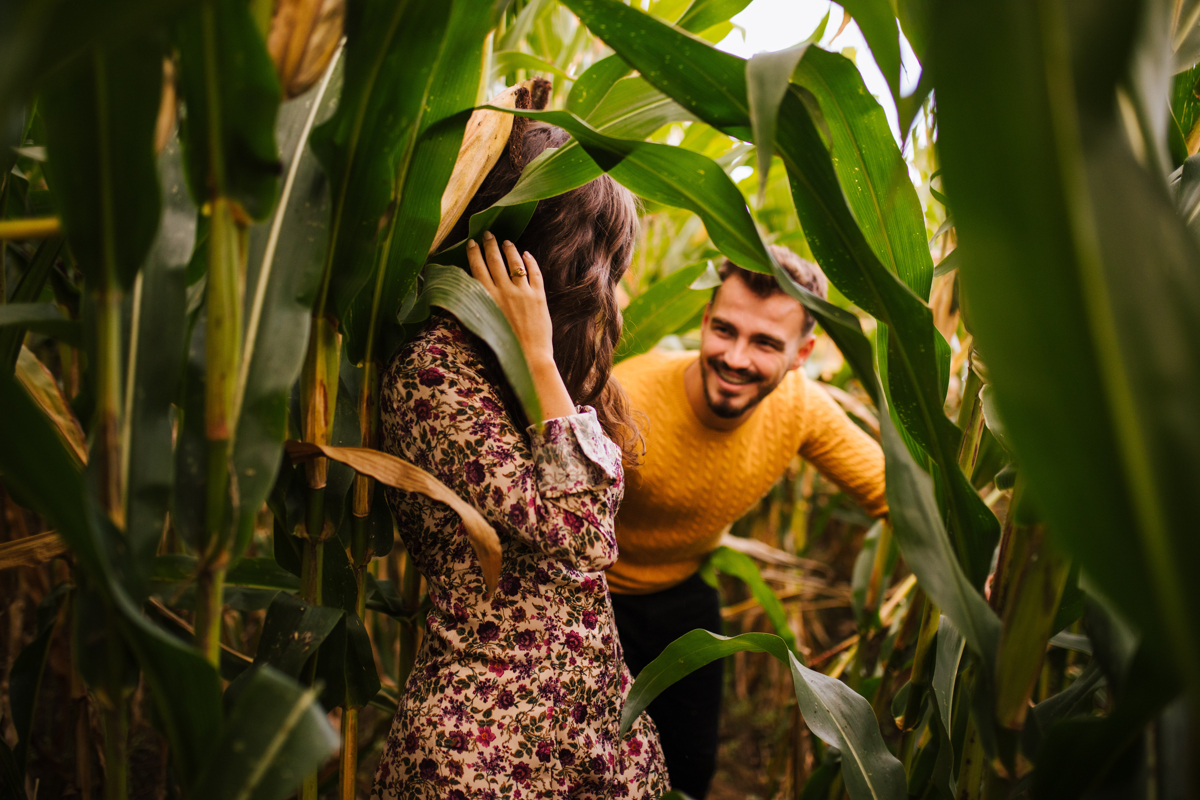 entre os campos de milho como namorados
