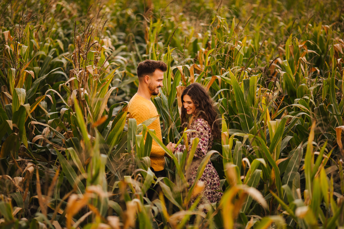love in corn 