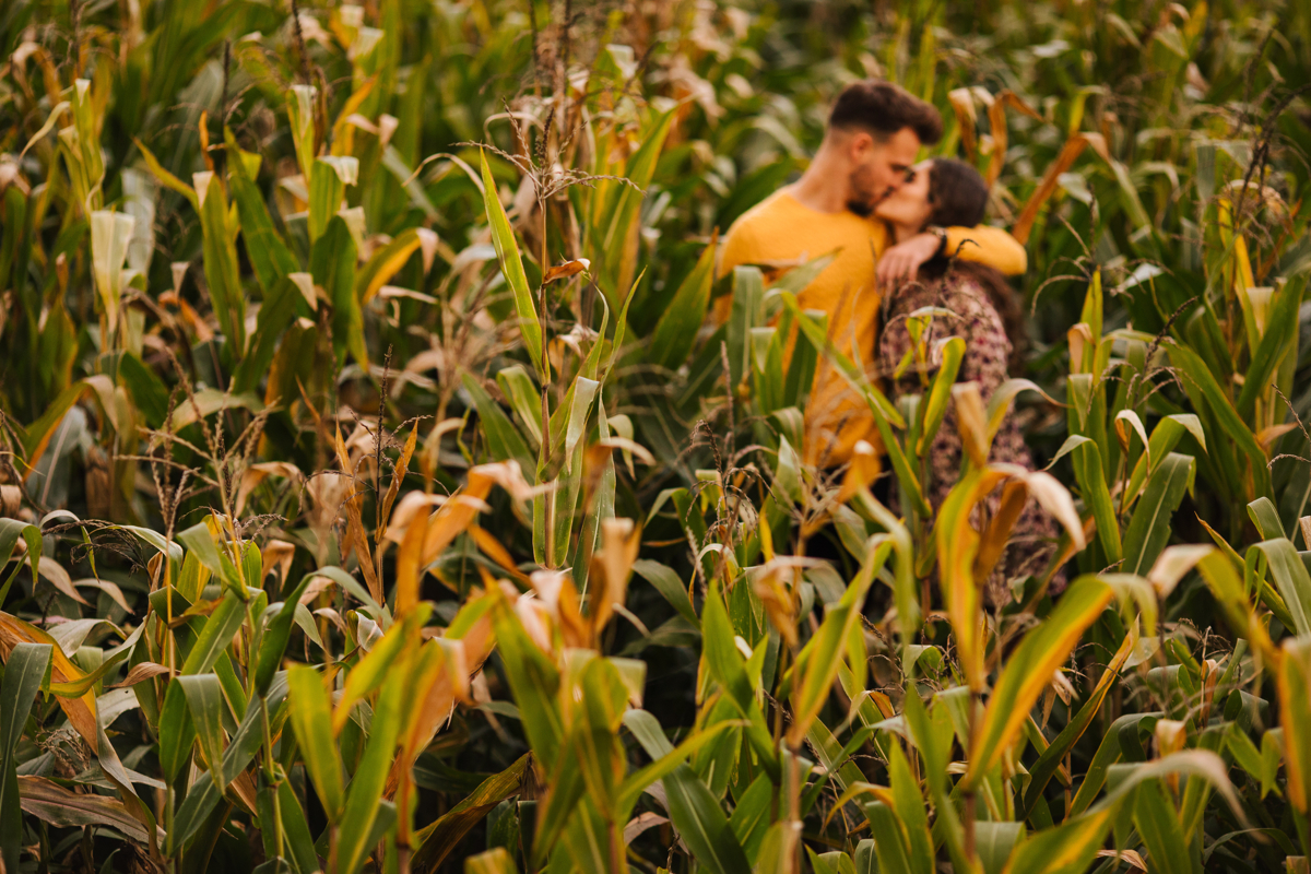 kiss on corn land