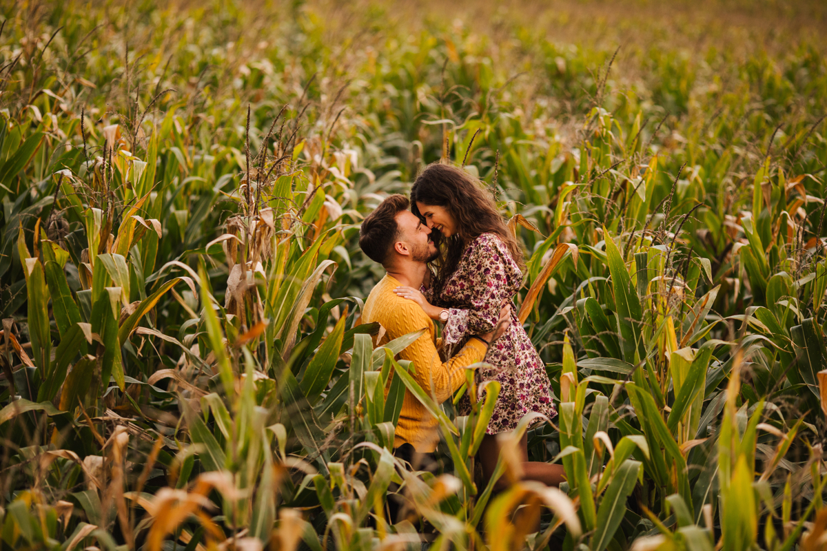 engagement corn land