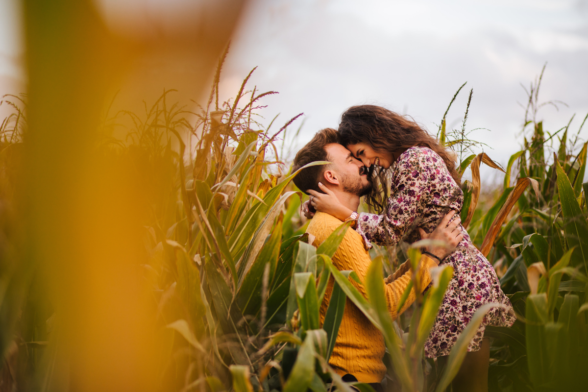 namorando em terras de milho